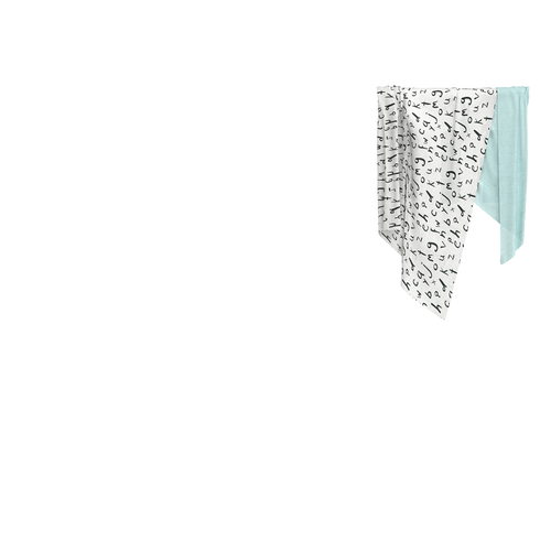 bloom muslin swaddle 2 pack