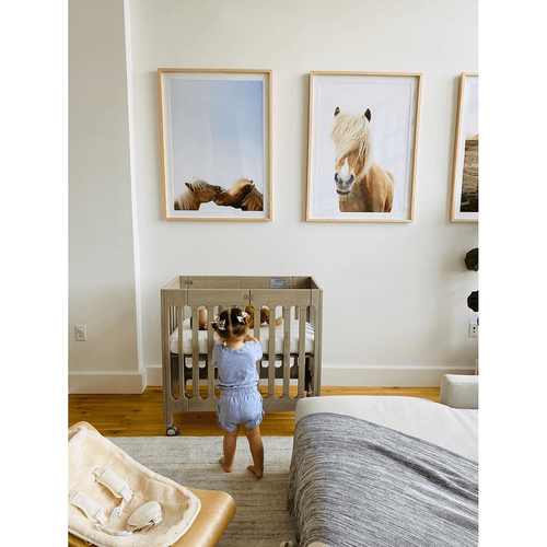 alma mini crib + mattress (March '26)