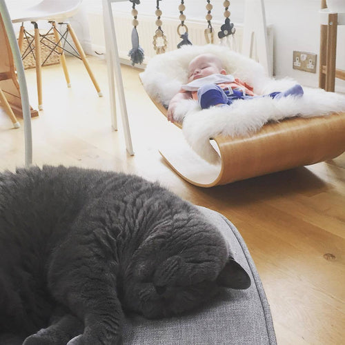 coconut white organic