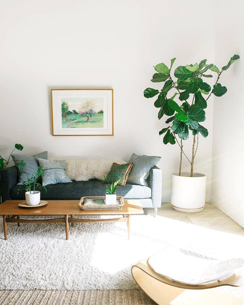 coco lounger natural