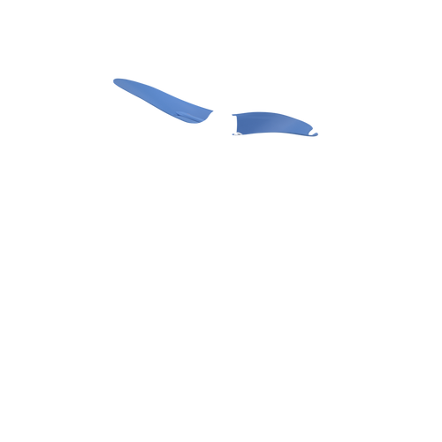 Slide 11