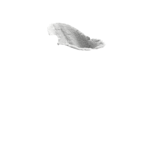 Slide 54