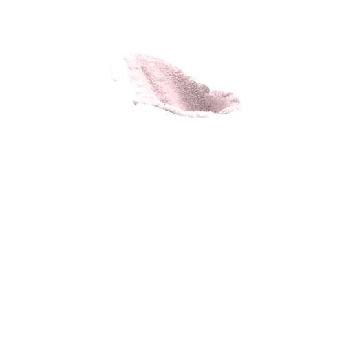Slide 53