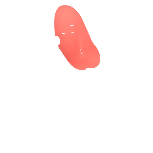 persimmon | variant=persimmon, view=toddler