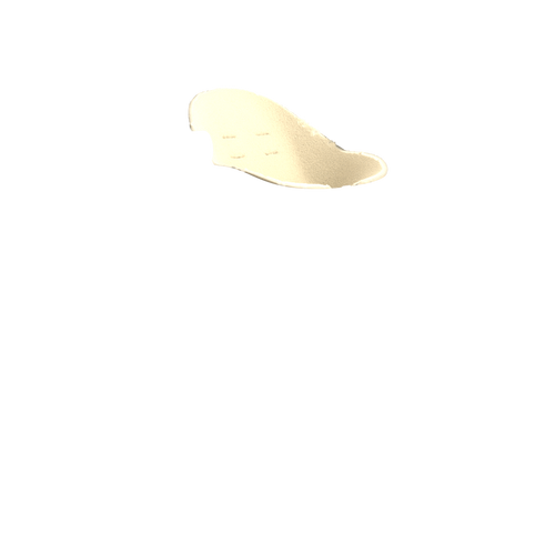 Slide 52